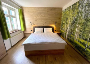 Apartmán Rosa, Decin